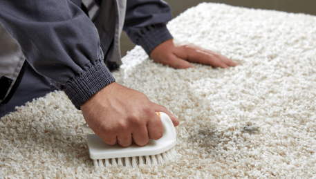 Professional Rug Cleaning New Gisborne